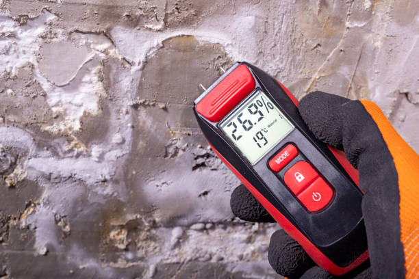 Mold Remediation for Historic Buildings